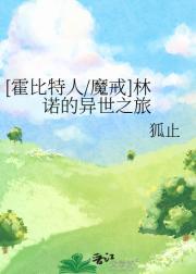 [霍比特人/魔戒]林诺的异世之旅