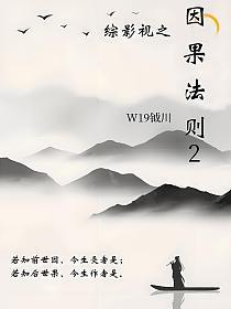 综影视之因果法则2